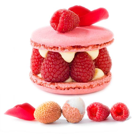 XL Macaron Vanille Himbeere